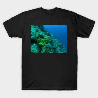 Coral reef and fish T-Shirt